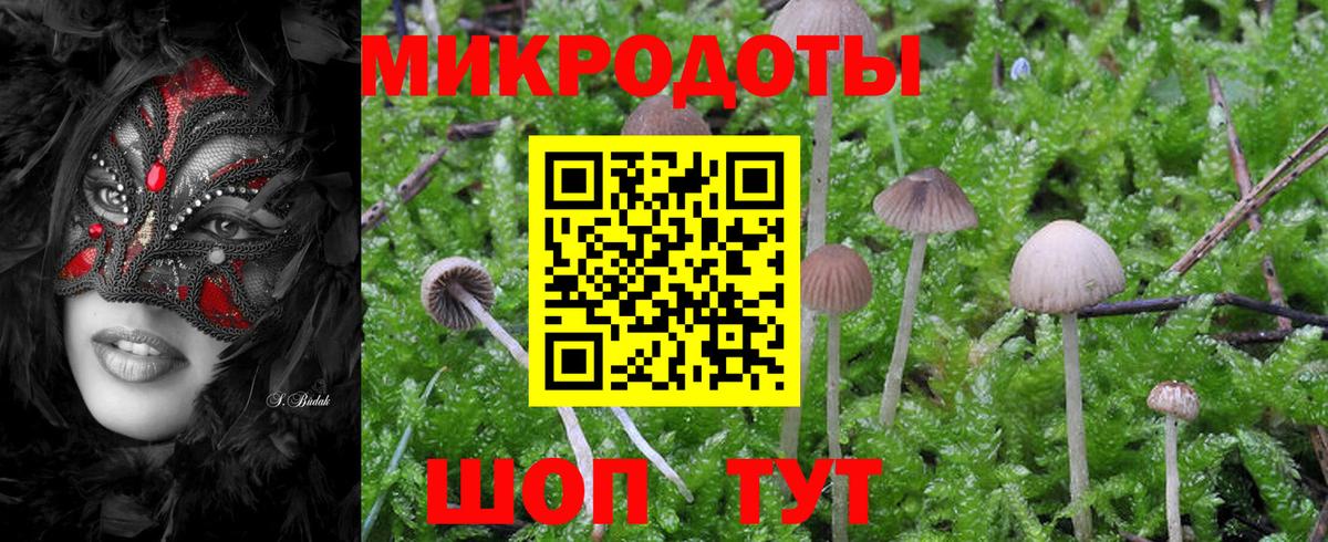 Галлюциногенные грибы мицелий Тельмана