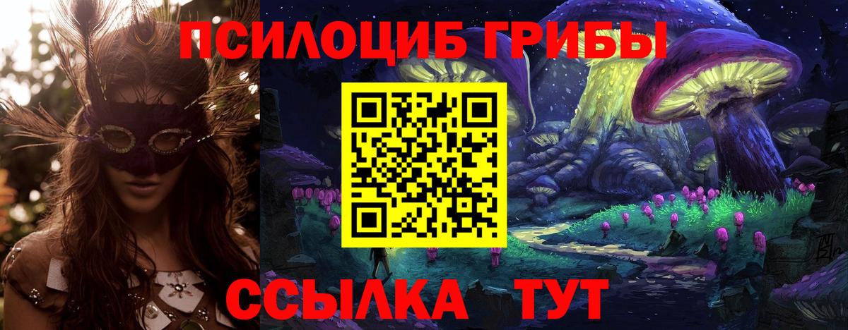 Тельмана  Галлюциногенные грибы Psilocybe  Вход с VPN  где найти   Галлюциногенные грибы ЛСД 